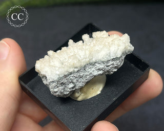 Aragonite Specimen - Sardinia #7