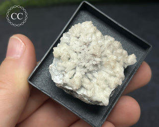 Aragonite Specimen - Sardinia #8