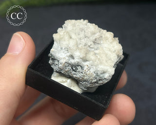 Aragonite Specimen - Sardinia #8