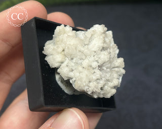 Aragonite Specimen - Sardinia #8