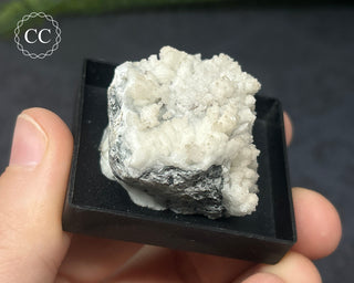 Aragonite Specimen - Sardinia #8