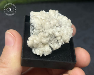 Aragonite Specimen - Sardinia #8