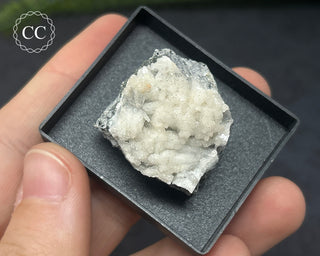 Aragonite Specimen - Sardinia #2