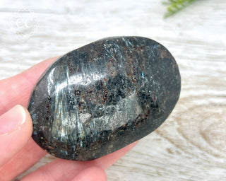 Arfvedsonite Chunky Palm Stone #5