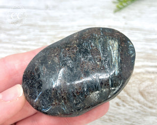 Arfvedsonite Chunky Palm Stone #5