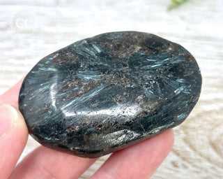 Arfvedsonite Chunky Palm Stone #1