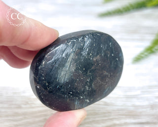 Arfvedsonite Chunky Palm Stone #2