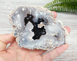 Argentina Agate Geode Slice #3
