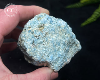 Arizona Aquamarine #3