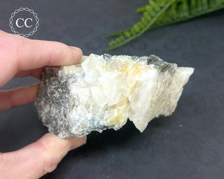 Arsenopyrite in Quartz Specimen #2