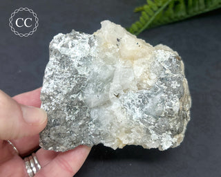 Arsenopyrite in Quartz Specimen #2