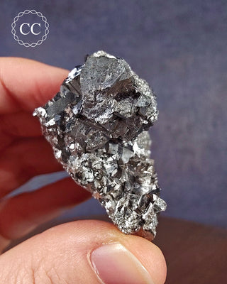 A hand holding a specimen of Arsenopyrite with Galena is from Mapimi, Mexico