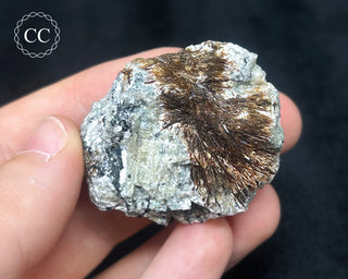 Astrophyllite Specimen #4