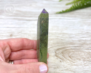 Atlantisite | Stichtite & Serpentine Freeform #1