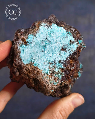Delicate specimen of Aurichalcite from Santa Eulalia, Mexico