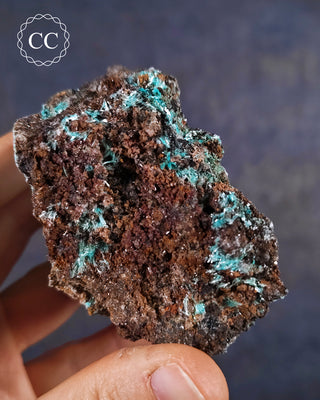 Aurichalcite Specimen #3