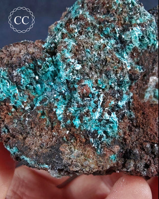 Aurichalcite Specimen #3