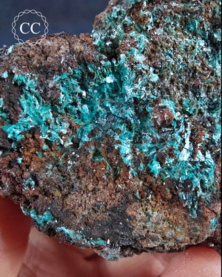 Aurichalcite Specimen #3