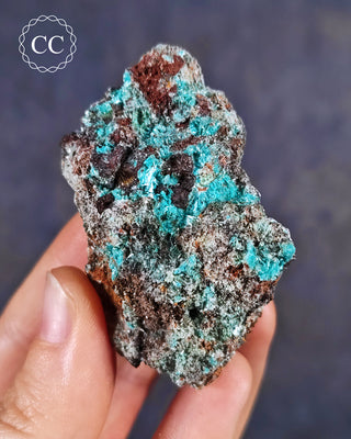 Delicate specimen of Aurichalcite from Santa Eulalia, Mexico