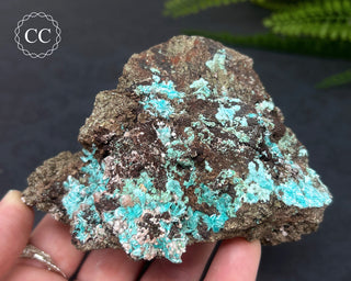 Aurichalcite Specimen #1