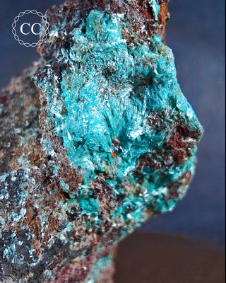 Aurichalcite Specimen #6