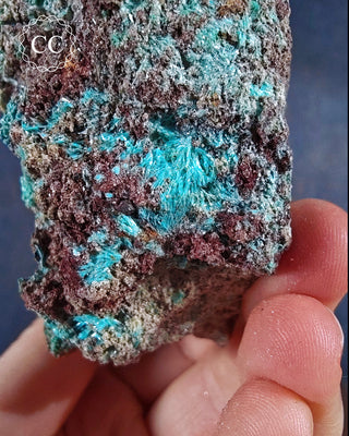 Aurichalcite Specimen #5