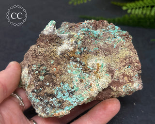Aurichalcite Specimen #5
