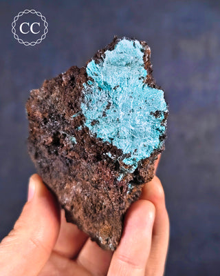 Delicate specimen of Aurichalcite from Santa Eulalia, Mexico