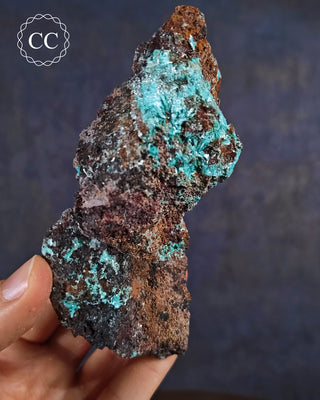 Aurichalcite Specimen #6