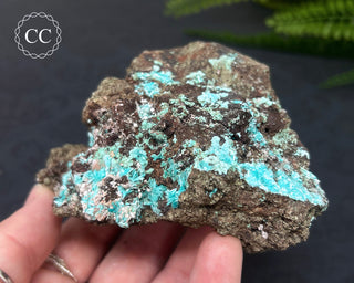 Aurichalcite Specimen #1