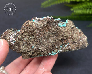Aurichalcite Specimen #1