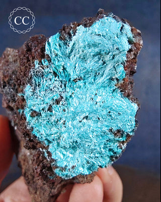 Aurichalcite Specimen #2