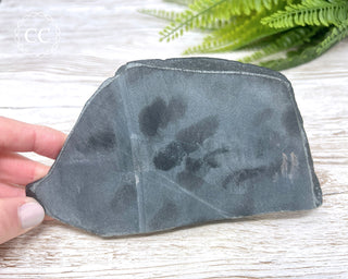 Australian Black Jade Polished Slice #4