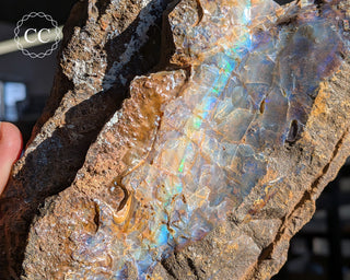 Australian Boulder Opal #1