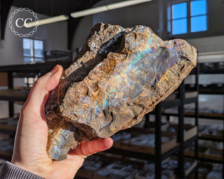 Australian Boulder Opal #1