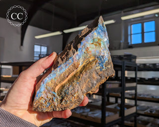 Australian Boulder Opal #2