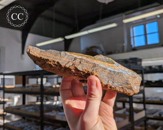 Australian Boulder Opal #2