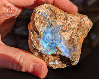 Australian Boulder Opal #3
