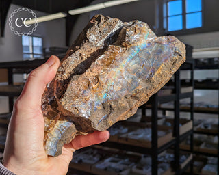 Australian Boulder Opal #1