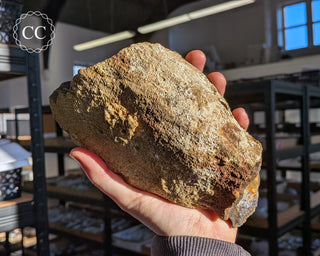 Australian Boulder Opal #1