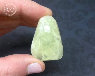 Australian Prehnite Cabochon #4