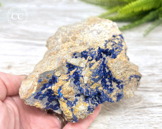 Azurite - Morenci #2