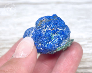Azurite Rose #4