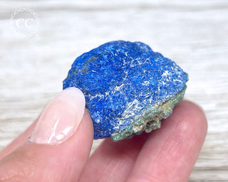 Azurite Rose #4