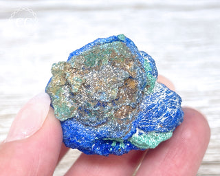 Azurite Rose #4