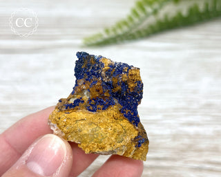 Azurite Specimen #4