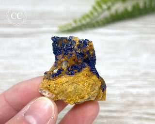 Azurite Specimen #4