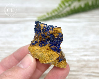 Azurite Specimen #4