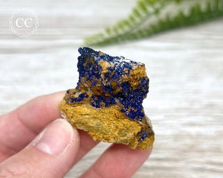 Azurite Specimen #4