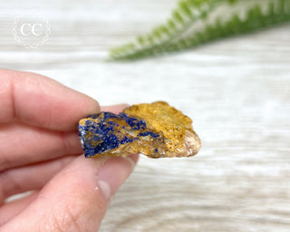 Azurite Specimen #4